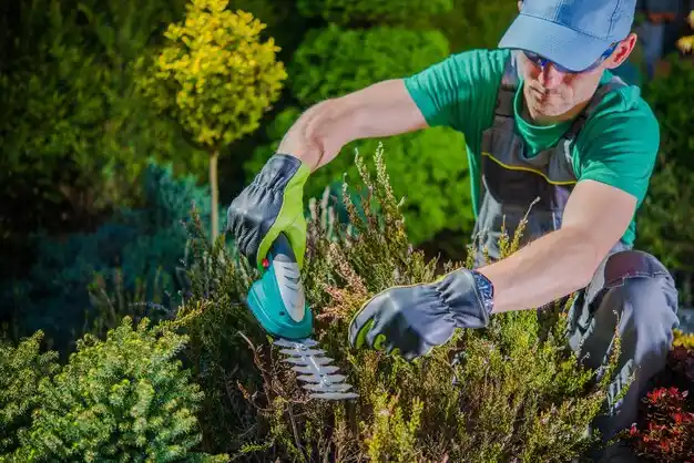landscaping services Mineral Ridge